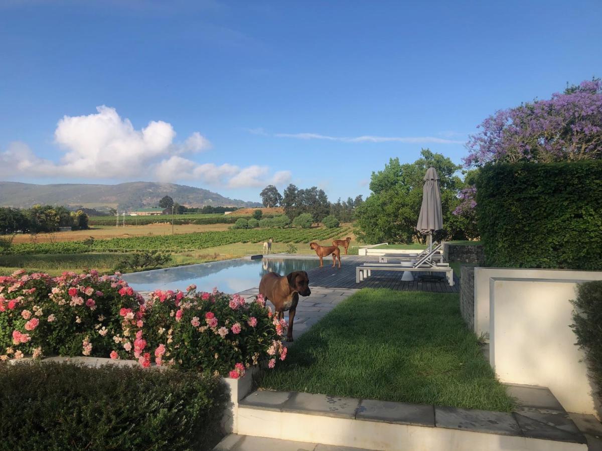 Tempel Wines Hotel Paarl Ngoại thất bức ảnh