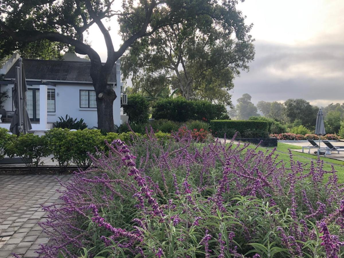 Tempel Wines Hotel Paarl Ngoại thất bức ảnh